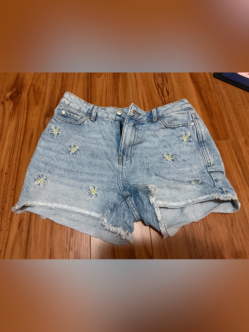 Light Blue Daisy Embroidered Denim Shorts